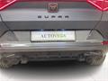 AutoVega