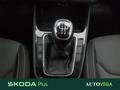 AutoVega