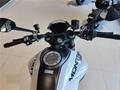 AutoVega