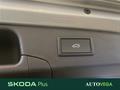 AutoVega