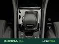 AutoVega