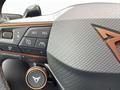 AutoVega