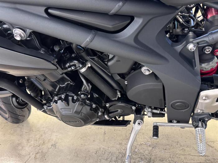 AutoVega - TRIUMPH Speed Triple 1050 | ID 34617