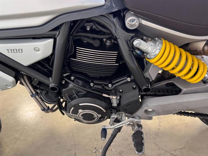 AutoVega - DUCATI Scrambler 1100 | ID 34760