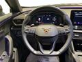 AutoVega