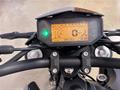 AutoVega