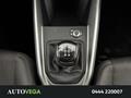AutoVega