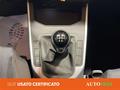 AutoVega