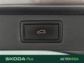 AutoVega