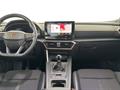 AutoVega