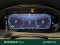 AutoVega
