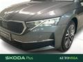 AutoVega