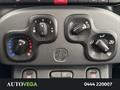 AutoVega