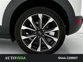 AutoVega