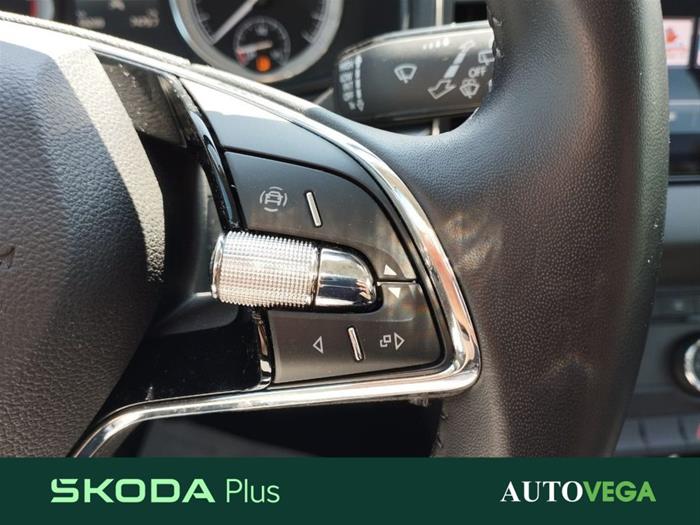 AutoVega - SKODA Karoq | ID 35962