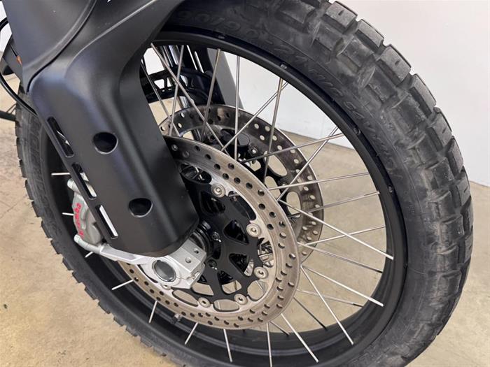 AutoVega - DUCATI DesertX 937 | ID 36041