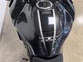 AutoVega