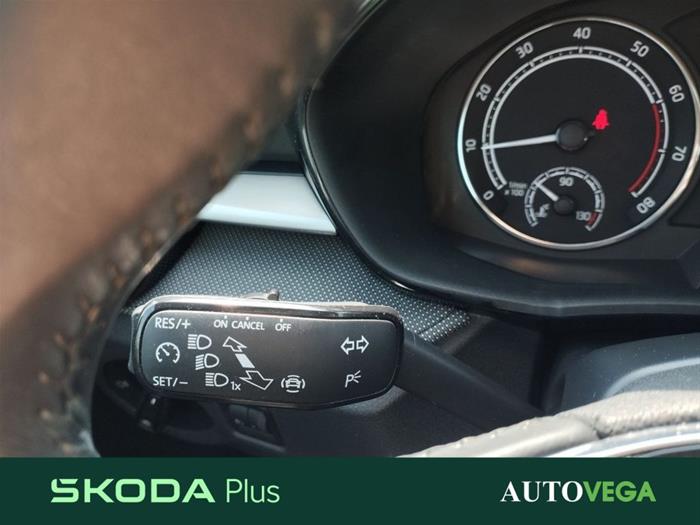 AutoVega - SKODA Fabia | ID 36180
