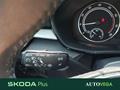 AutoVega