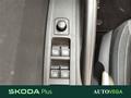 AutoVega