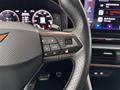 AutoVega