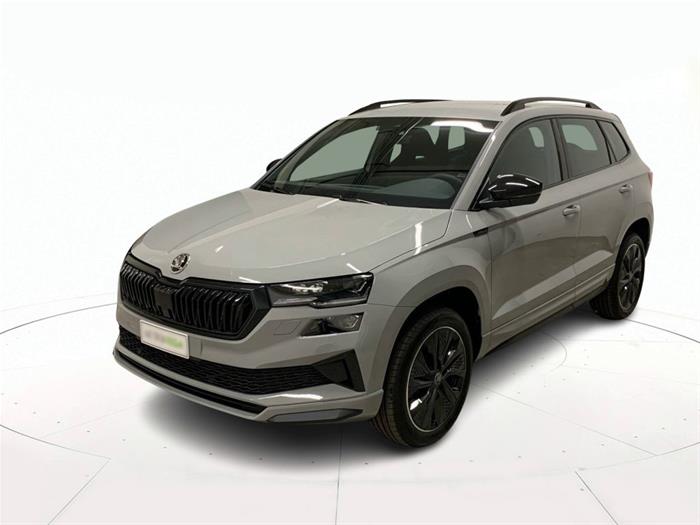 AutoVega - SKODA Karoq | ID 36296