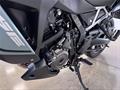 AutoVega