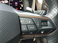 AutoVega