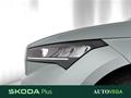 AutoVega