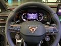 AutoVega