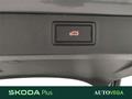 AutoVega