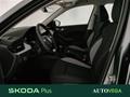 AutoVega