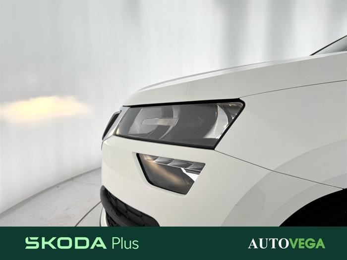 AutoVega - SKODA Karoq | ID 33667
