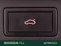 AutoVega