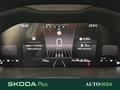AutoVega