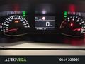 AutoVega