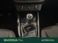 AutoVega