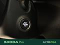AutoVega