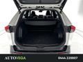 AutoVega