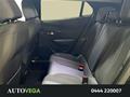AutoVega