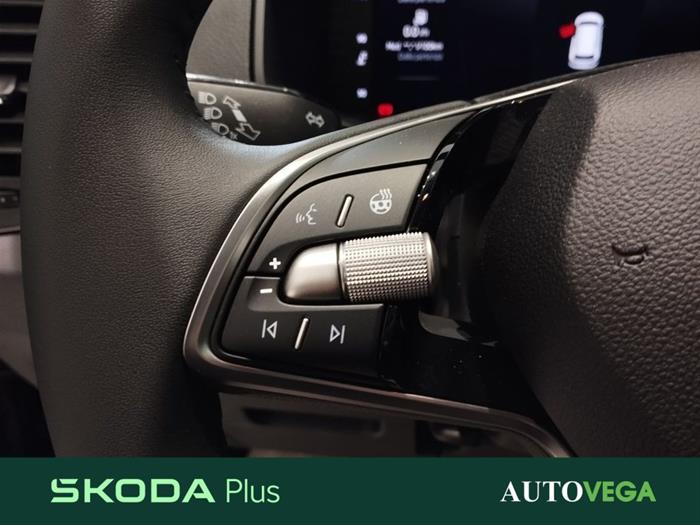 AutoVega - SKODA Karoq | ID 35865