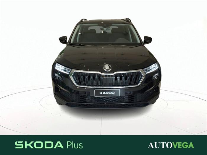 AutoVega - SKODA Karoq | ID 35865
