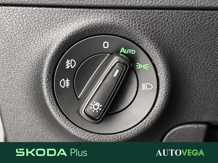 AutoVega - SKODA Karoq | ID 35866