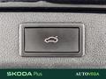 AutoVega