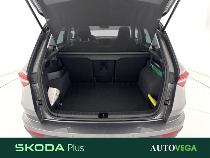 AutoVega - SKODA Karoq | ID 37014
