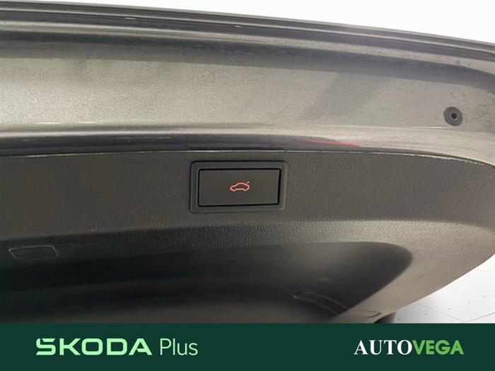 AutoVega - SKODA Karoq | ID 37029