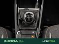 AutoVega