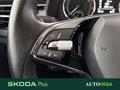AutoVega