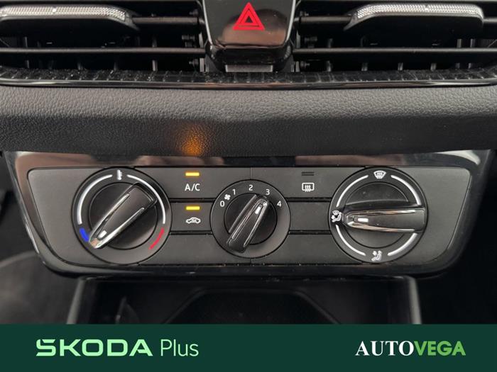 AutoVega - SKODA Fabia | ID 37294