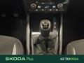 AutoVega